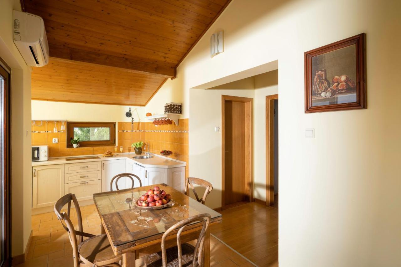 Apartment Villa Ema Krapinske Toplice Εξωτερικό φωτογραφία