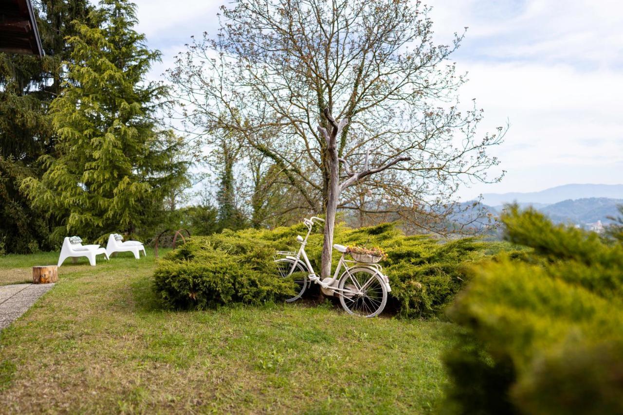 Apartment Villa Ema Krapinske Toplice Εξωτερικό φωτογραφία
