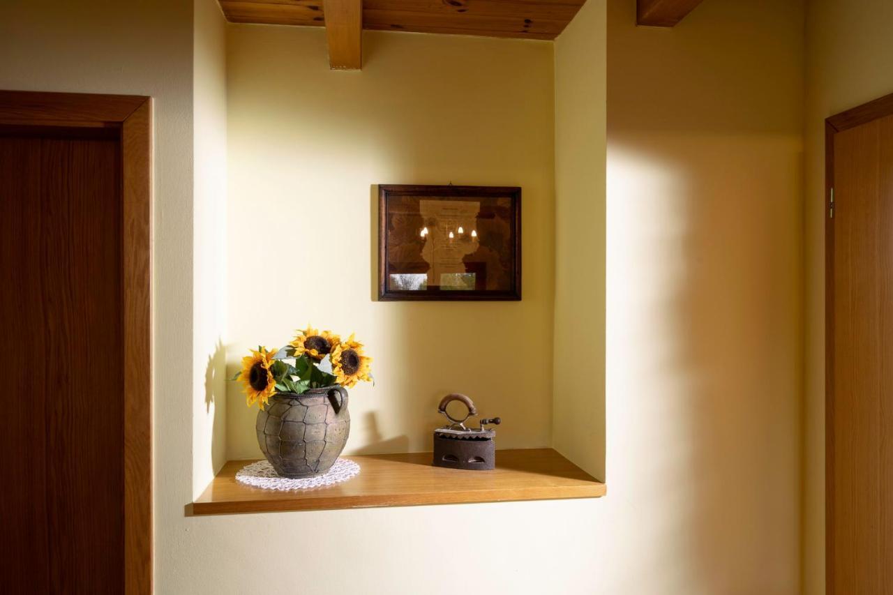 Apartment Villa Ema Krapinske Toplice Εξωτερικό φωτογραφία